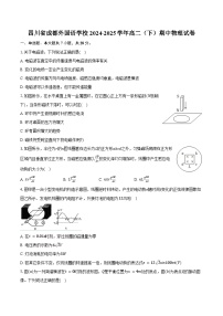 四川省成都外国语学校2024-2025学年高二（下）期中物理试卷（含解析）