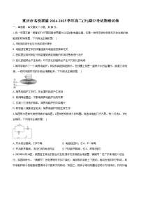 重庆市名校联盟2024-2025学年高二(下)期中考试物理试卷（含解析）