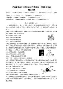 四川省泸州市泸县普通高中共同体2024-2025学年高一下学期4月期中联考物理试题（Word版附答案）