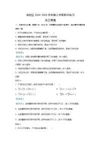 北京市海淀区2024-2025学年高三下学期一模（期中）物理试卷（解析版）