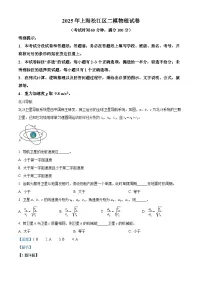 上海市松江区2025届高三下学期二模物理试卷（Word版附解析）