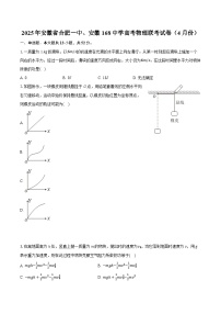 2025年安徽省合肥一中、安徽168中学高考物理联考试卷（4月份）（含详细答案解析）