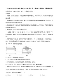 2024-2025学年湖北省武汉市武昌区高二物理下学期6月期末试卷