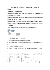 2025届上海市高三下学期质量调研物理试卷（解析版）