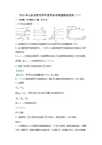 2025届山东省青岛市平度市高三下学期高考模拟检测（一）物理试卷（解析版）