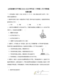 山东省德州市平原县2024-2025学年高二下学期3月月考物理检测试题（附答案）
