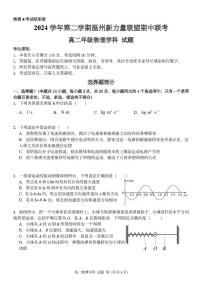 浙江省温州新力量联盟2024-2025学年高二下学期4月期中联考试题 物理 PDF版含答案