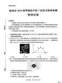 2025届河北省沧州市高考模拟物理试题（含答案）
