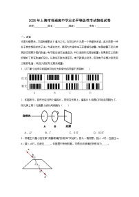 2025年上海市普通高中学业水平等级性考试物理试卷（无答案）