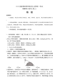 2025届河南省青桐鸣大联考高三下学期5月模拟考试物理试卷