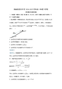 海南省部分中学2024-2025学年高一年级下学期期中模拟考试物理试卷（解析版）