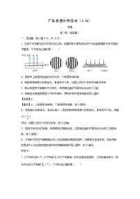 广东省惠州市2024-2025学年高二下学期4月联考物理试卷（解析版）