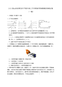 2025届山东省青岛市平度市高三下学期高考物理模拟物理试卷（一模）含答案