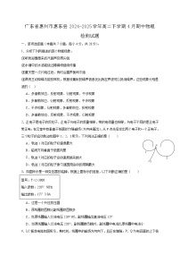 广东省惠州市惠东县2024-2025学年高二下学期4月期中物理检测试题（含答案）