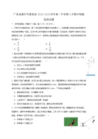 广东省惠州市惠东县2024-2025学年高一下学期4月期中物理检测试题（含答案）