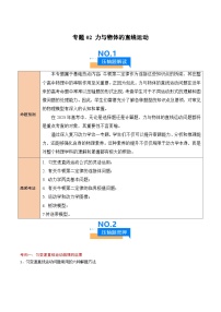 2025年高考物理压轴题(新高考通用)专题02力与物体的直线运动(原卷版+解析)特训