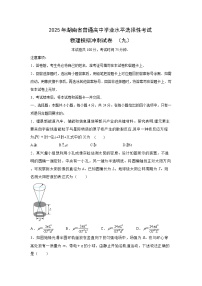 2025届湖南省普通高中高三下学期学业水平选择性考试模拟冲刺（九）物理试卷（解析版）