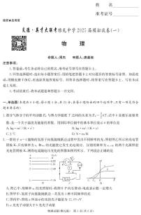 湖南省炎德·英才大联考雅礼中学2025届模拟（一）（雅礼9次）高三物理试卷（PDF版附答案）