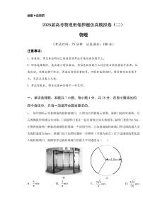 2025届高考物理密卷押题仿真模拟卷（二）含解析