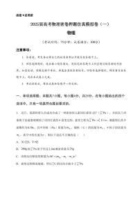 2025届高考物理密卷押题仿真模拟卷（一）含解析