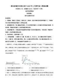 湖北省随州市部分高中2024-2025学年高三下学期2月月考物理试题（原卷版+解析版）