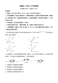 湖南金太阳联考2024-2025学年高一下学期3月考试物理试卷（原卷版+解析版）