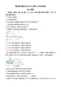 湖南省长沙市雅礼集团2024-2025学年高二下学期3月月考物理试卷（原卷版+解析版）