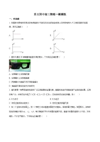 江苏省苏州市苏大附中2024-2025学年高三下学期3月月考物理试题（原卷版+解析版）