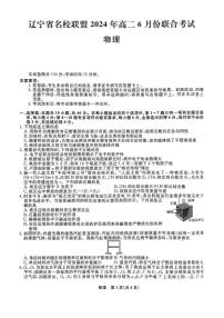 辽宁省名校联盟2023-2024学年高二下学期6月份联合考试 物理试卷（含答案）
