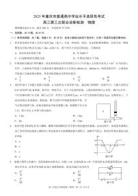 2025届重庆康德高三下学期5月三诊物理试题+答案