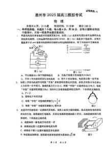 广东省惠州市2025届高三下学期4月28日模拟考试物理+答案