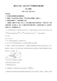 河南省漯河市2023-2024学年高二下学期期质量监测 物理试卷（含答案）