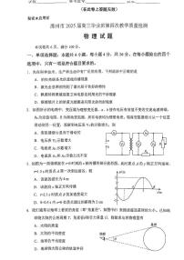 2025届福建省漳州市高三四检物理试题（含答案）