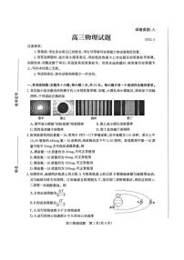 山东省滨州市2025届高三高考模拟第二次模拟-物理试题+答案
