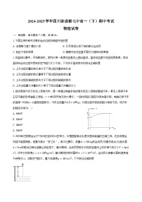 2024-2025学年四川省成都七中高一（下）期中考试物理试卷（含答案）