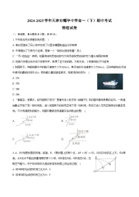 2024-2025学年天津市耀华中学高一（下）期中物理试卷（含答案）