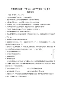 河南省郑州市第一中学2024-2025学年高二（下）期中物理试卷（含解析）