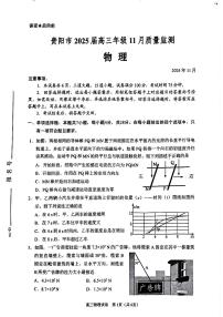 贵州省贵阳市2024-2025学年高三上学期11月质量监测试卷 物理试题（含答案）