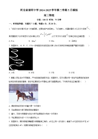 2025届河北省邢台市清河中学高三下学期5月模拟物理试卷（原卷版+解析版）（高考模拟）