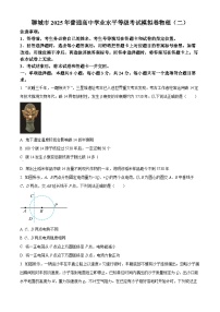2025届山东省聊城市高三下学期二模物理试题（原卷版+解析版）（高考模拟）