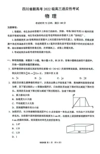 2025届四川新高考高三下学期适应性考试（三模）物理试题（含答案）