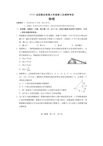 2025届河北省石家庄市衡水市部分学校NT20名校联合体高三下学期第二次调研考试（图片版）物理试卷