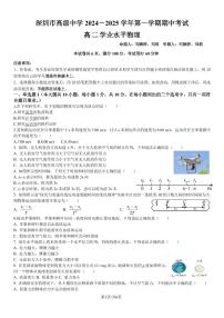 广东省深圳市高级中学2024-2025学年高二上学期学业水平期中物理试卷