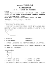 上海市交通大学附属中学2024-2025学年高三下学期开学摸底考试物理试题（原卷版+解析版）