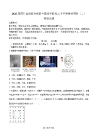 四川省成都市外国语学校2025届高三下学期模拟预测（二）物理试题（Word版附解析）