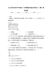 2025届贵州省毕节市高三下学期第四次适应性考试（三模）物理试卷（无答案）