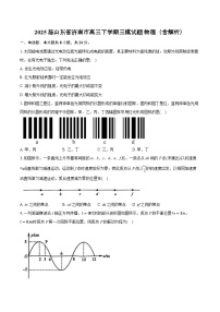 2025届山东省济南市高三下学期三模试题 物理（含解析）