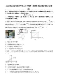 2025届山东省实验中学高三下学期第一次模拟考试试题 物理（含答案）