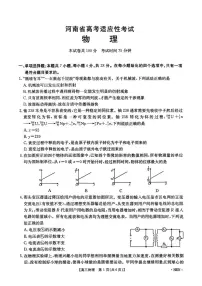 2025届河南省高三下学期高考适应性考试物理试题（高考模拟）