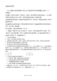 湖北省普通高中2025届学业水平选择性考试高三物理模拟（二）试卷（Word版附答案）
